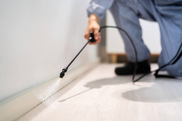 Licensed Termite Control service in Martinez, CA - Nex Pest Control