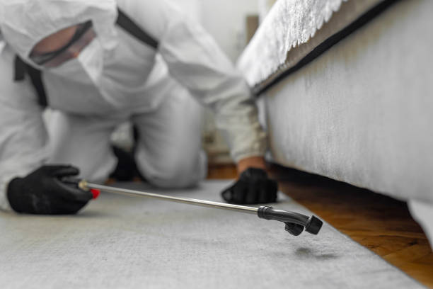 Professional Termite Control technician working in Martinez, CA