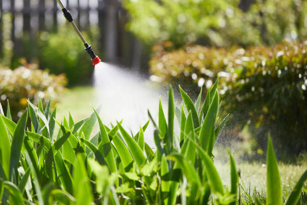 24/7 Emergency Termite Control experts in Martinez, CA
