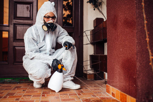 Reliable Termite Control contractor in Martinez, CA by Nex Pest Control